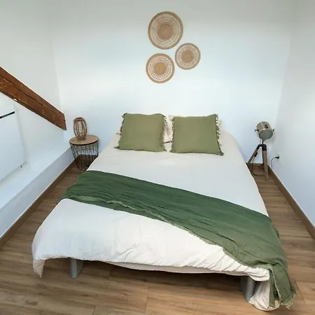 Apartamento Le Nid- Balcon Jolie Vue - St Etienne-sud *