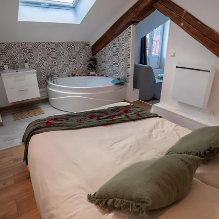 Le Nid- Balcon Jolie Vue - St Etienne-sud Apartamento *