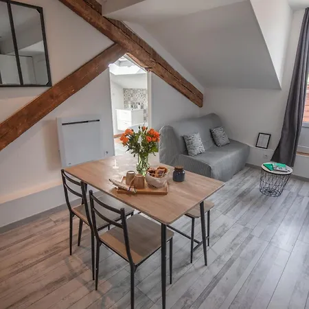 Le Nid- Balcon Jolie Vue - St Etienne-sud * Saint-Etienne (Loire)