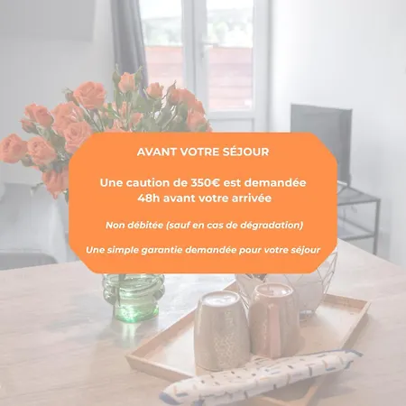 Appartement Le Nid- Balcon Jolie Vue - St Etienne-sud Saint-Etienne (Loire)