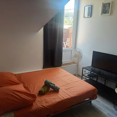 Le Nid- Balcon Jolie Vue - St Etienne-sud *